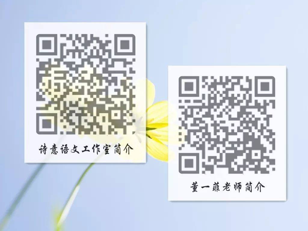 肖，肖氏风云传，揭秘背后的故事