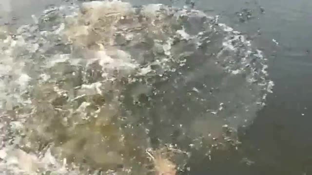探索未知，关于物体能否浮在水面上的奇妙现象，探索物体浮在水面上的奇妙现象，未知世界的奥秘揭秘
