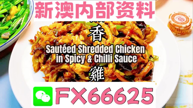 新奥精准免费资料提供，深度解析与实际应用，新奥精准免费资料深度解析与实战应用指南