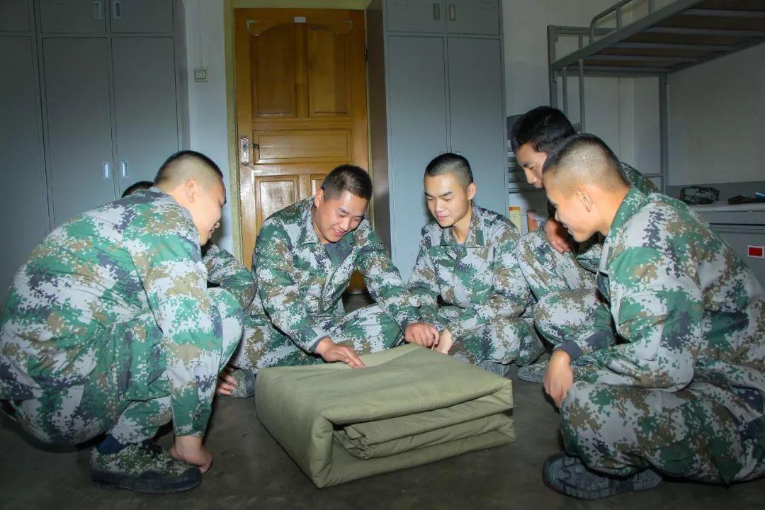 当兵陆军好还是武警好，一个关于军事选择的深度探讨，军事选择深度探讨，陆军与武警的选择优劣对比
