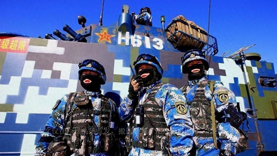 海军陆战队所属兵种解析，海军陆战队所属兵种深度解析